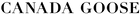 NovaStride Eco Apparel